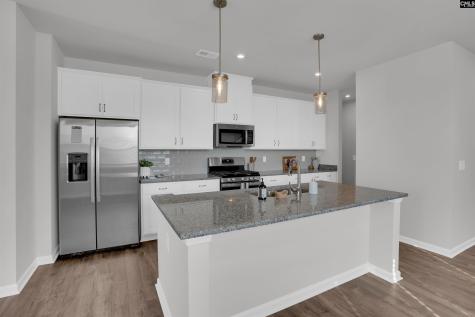 903 Gold Ventura Court Lexington SC 29072