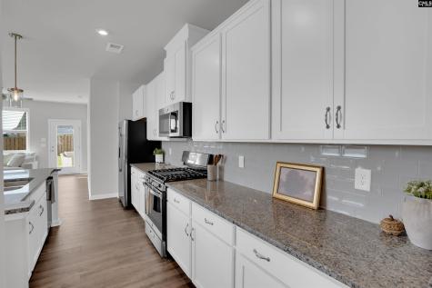 903 Gold Ventura Court Lexington SC 29072