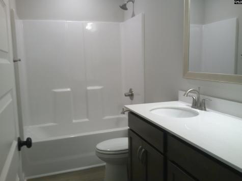 1116 Turtle Stone Road Blythewood SC 29016