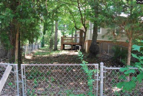 223 Raintree Drive Irmo SC 29063