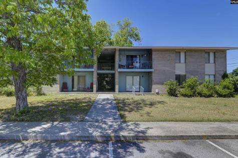 329 W Main Street Lexington SC 29072