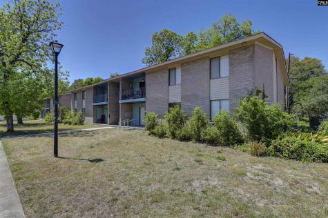 329 W Main Street Lexington SC 29072