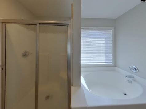919 Dovefield Lane Lexington SC 29073-6509