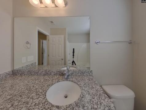 919 Dovefield Lane Lexington SC 29073-6509
