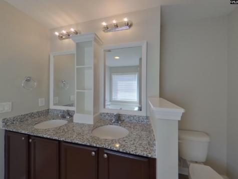 919 Dovefield Lane Lexington SC 29073-6509