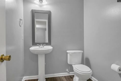 141 Wigmore Lane Lexington SC 29072