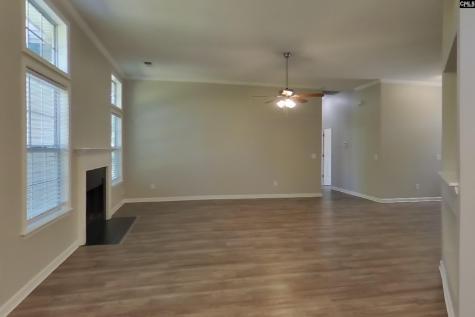 12 New Stock Court Hopkins SC 29061-9761