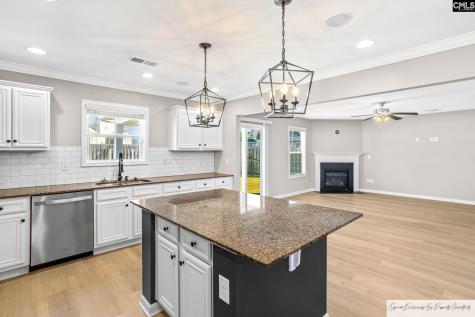 56 Texas Black Way Elgin SC 29045