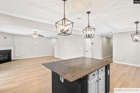 56 Texas Black Way Elgin SC 29045