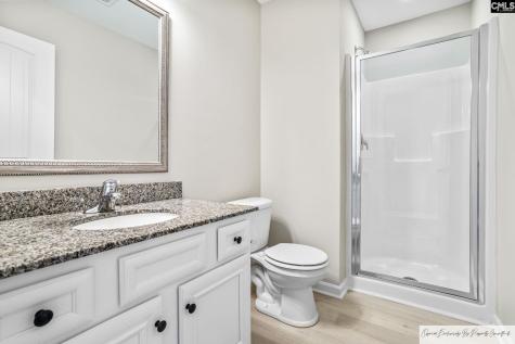 56 Texas Black Way Elgin SC 29045