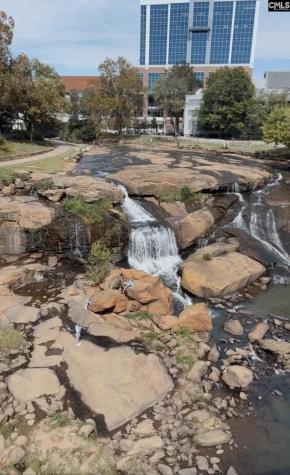 601 Cleveland Street Greenville SC 29061