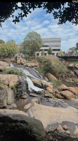 601 Cleveland Street Greenville SC 29061