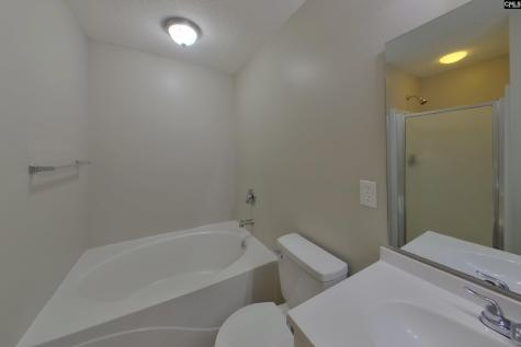 121 Eagle Pointe Drive Chapin SC 29036-9251