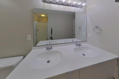 121 Eagle Pointe Drive Chapin SC 29036-9251