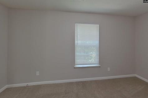 121 Eagle Pointe Drive Chapin SC 29036-9251