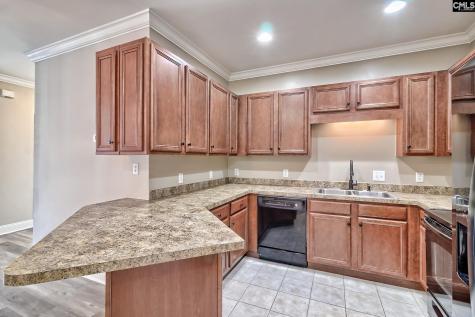 118 Sandlapper Way 2b Lexington SC 29072