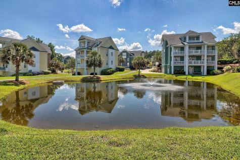 118 Sandlapper Way 2b Lexington SC 29072