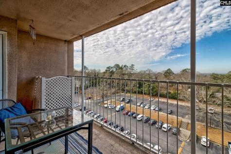 1825 Street Julian Place 10-d Columbia SC 29204