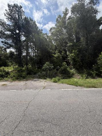 0 Norway Road Orangeburg SC 29115