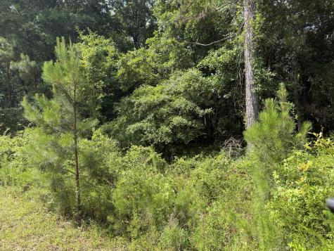 0 Norway Road Orangeburg SC 29115