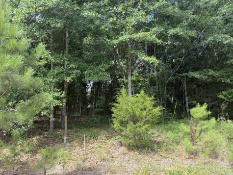 0 Norway Road Orangeburg SC 29115