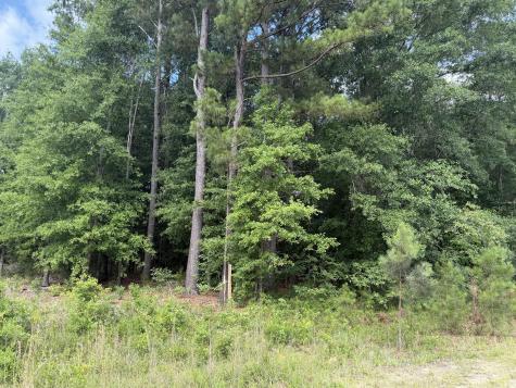 0 Norway Road Orangeburg SC 29115