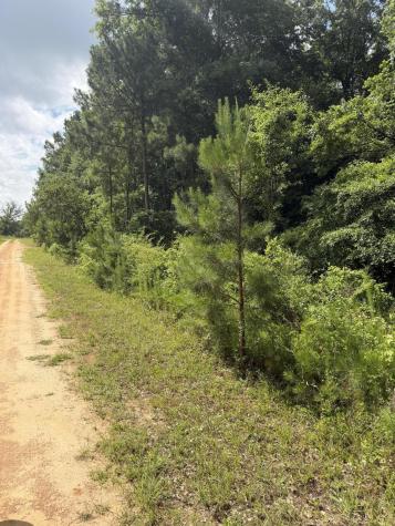 0 Norway Road Orangeburg SC 29115