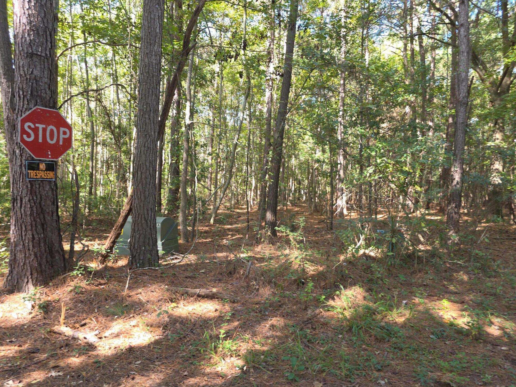 1142 Choice Road Johns Island SC 29455