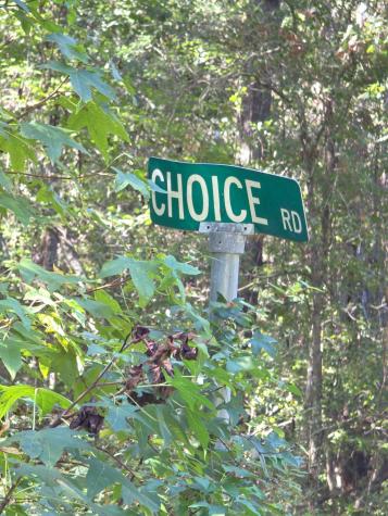 1142 Choice Road Johns Island SC 29455