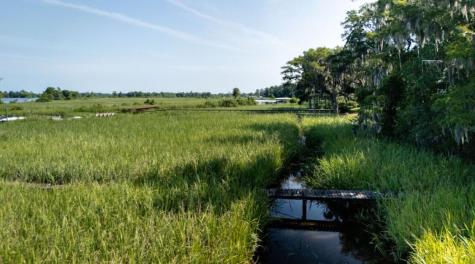313 Rossdhu Avenue Pawleys Island SC 29585