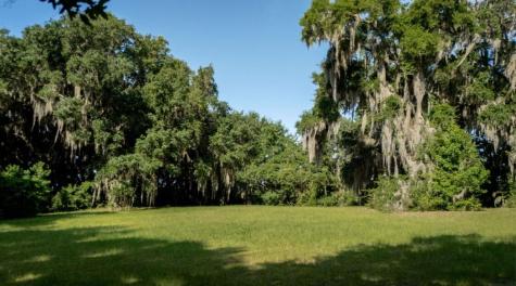 313 Rossdhu Avenue Pawleys Island SC 29585