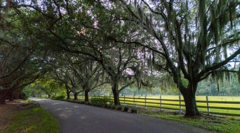 313 Rossdhu Avenue Pawleys Island SC 29585