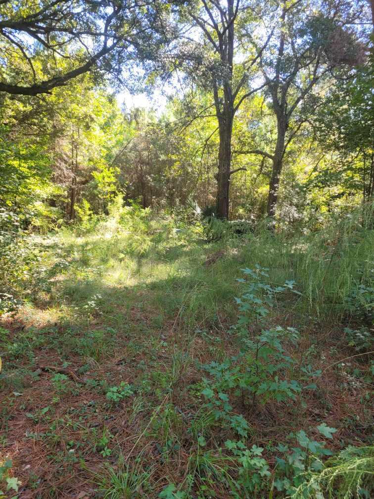 2814 Highway 174 Edisto Island SC 29438