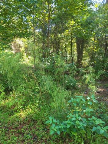 2814 Highway 174 Edisto Island SC 29438