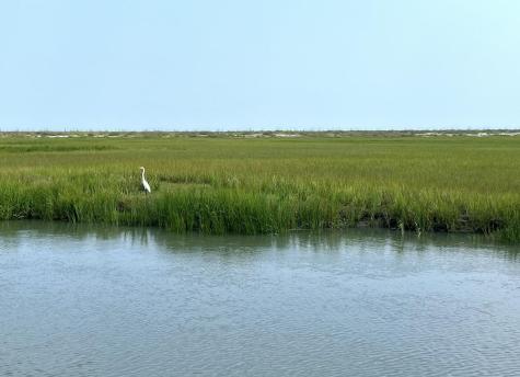 0 Hammocks Way Edisto Island SC 29438