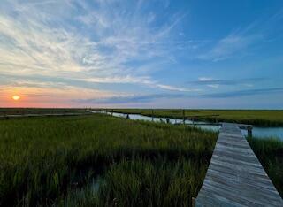 0 Hammocks Way Edisto Island SC 29438
