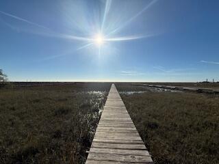 0 Hammocks Way Edisto Island SC 29438