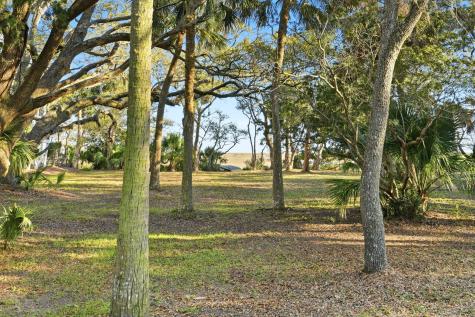 0 Hammocks Way Edisto Island SC 29438