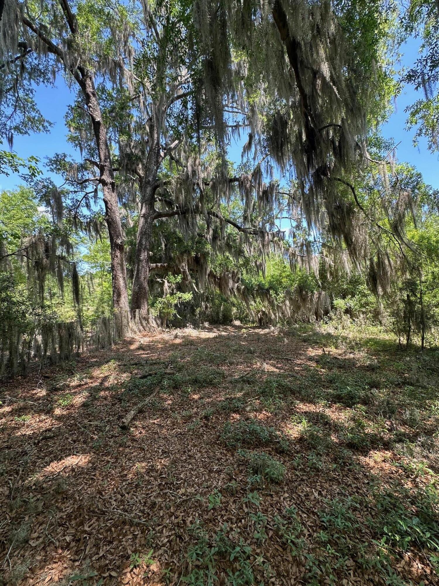 0 Willtown Road Hollywood SC 29449