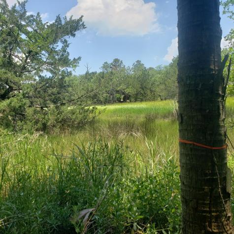723 Jan Savage Way Edisto Island SC 29438