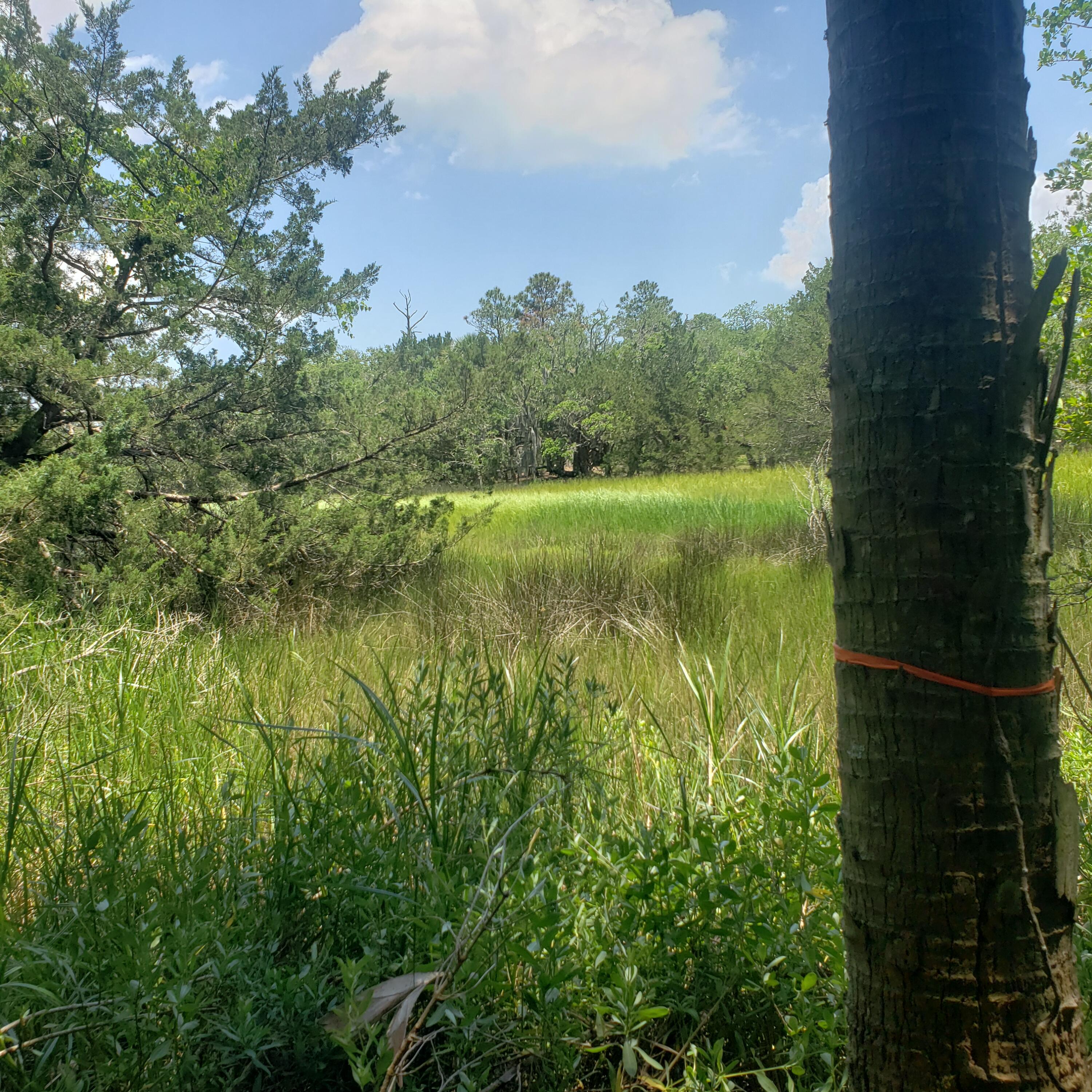 723 Jan Savage Way Edisto Island SC 29438