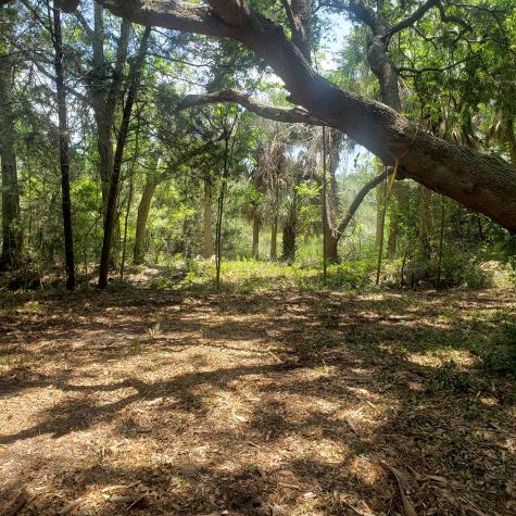 723 Jan Savage Way Edisto Island SC 29438