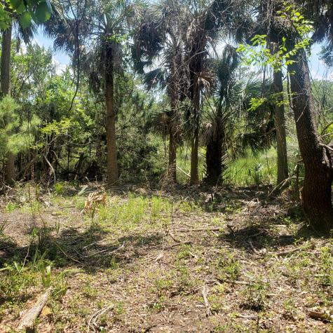 723 Jan Savage Way Edisto Island SC 29438