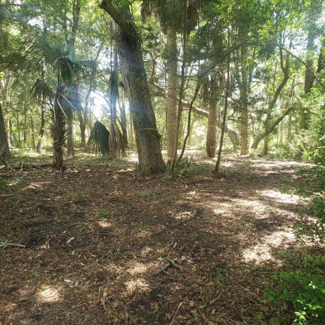723 Jan Savage Way Edisto Island SC 29438