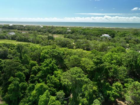 723 Jan Savage Way Edisto Island SC 29438