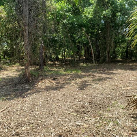 723 Jan Savage Way Edisto Island SC 29438