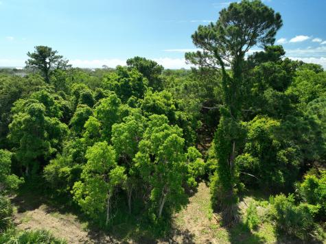 723 Jan Savage Way Edisto Island SC 29438