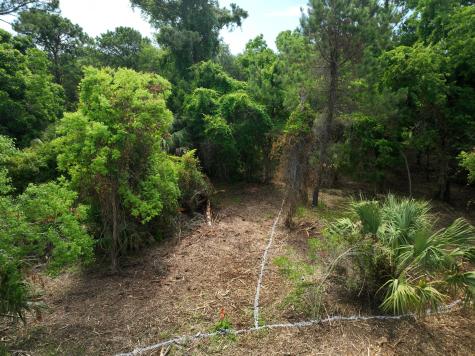 723 Jan Savage Way Edisto Island SC 29438