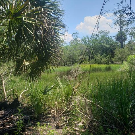 723 Jan Savage Way Edisto Island SC 29438