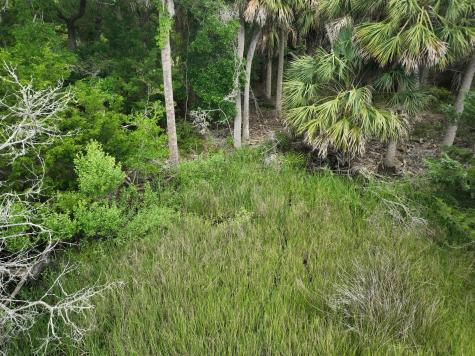723 Jan Savage Way Edisto Island SC 29438
